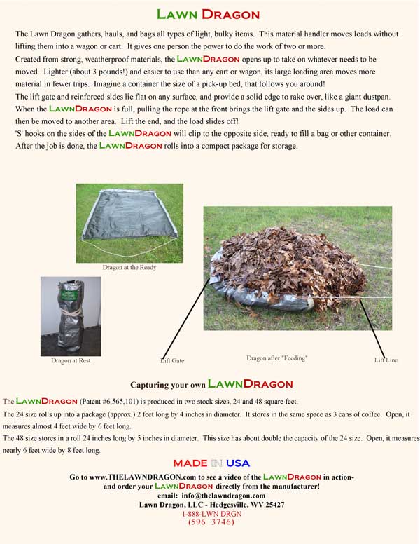 Dragon brochure